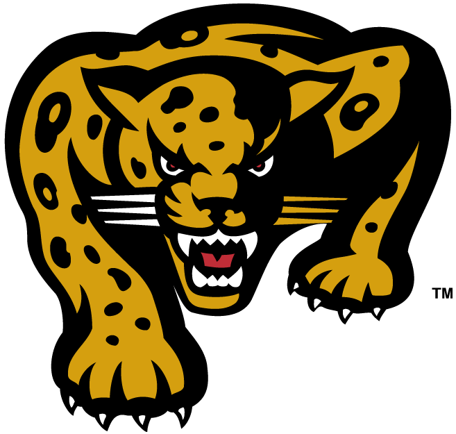 IUPUI Jaguars 2002-2007 Alternate Logo diy fabric transfer